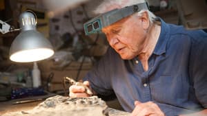 Attenborough and the Sea Dragon — foto 5