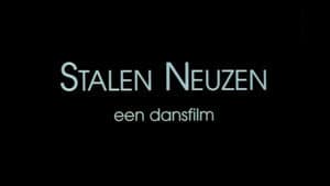 Stalen Neuzen — foto 1