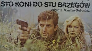 Sto koni do stu brzegów — foto 1