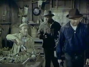 Episodio 5