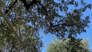Non succederà più — foto 10
