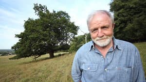 Oak Tree: Nature's Greatest Survivor — foto 1