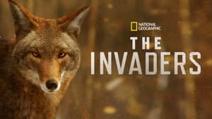 The Invaders — foto 7