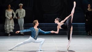 Swan Lake — foto 1