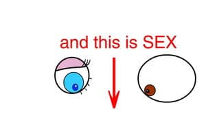 Sex and Fun — foto 1