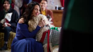 Happy Howlidays — foto 6