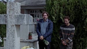 Tra gli alberi — foto 1