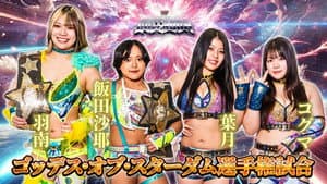 『カードファイト!! ヴァンガード Divinez presents ALL STAR GRAND QUEENDOM 2025』 — foto 11