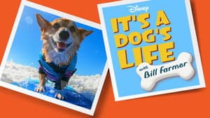 It's a Dog's Life with Bill Farmer — foto 7