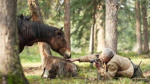 Wild Horses, the Rockies and Me — foto 1