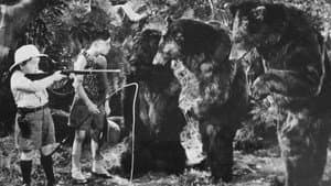 Bear Facts — foto 1
