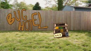 The Bug Hotel — foto 1