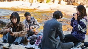 은빛살구 — foto 1