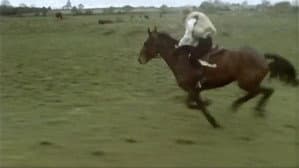Caoineadh Airt Uí Laoire — foto 2