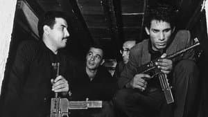 Marxist Poetry: The Making of The Battle of Algiers — foto 1