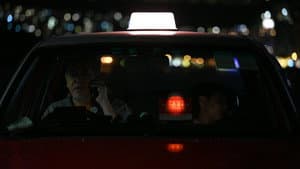 白日青春 — foto 9