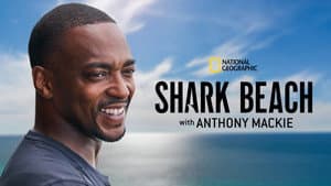 Shark Beach with Anthony Mackie — foto 4