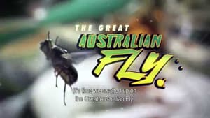 The Great Australian Fly — foto 1