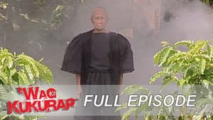 Episodio 9