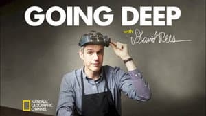 Going Deep with David Rees — foto 5