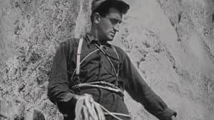 Le Grec - Georges Livanos — foto 2