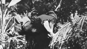 Bride of the Gorilla — foto 4