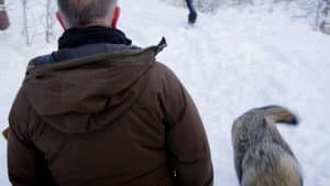 Episodio 6