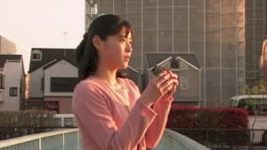 亀は意外と速く泳ぐ — foto 6