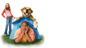 Life Is Ruff — foto 6