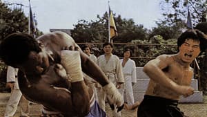 Bruce Lee El superhéroe — foto 2