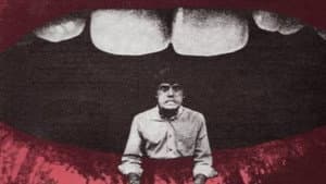 Ich bin ein Elefant, Madame — foto 2