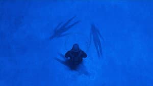 Trespassers — foto 1