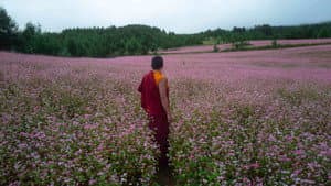 The Monk and the Gun — foto 10
