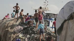 Sponde. Nel sicuro sole del nord — foto 3