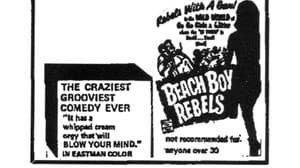 Beach Boy Rebels — foto 1