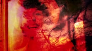 Silk Tatters,"NEC SPE NEC METU": Brigadoon — foto 2