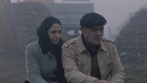 Hasar — foto 1