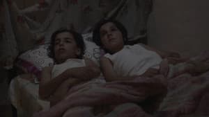 Miraç — foto 2