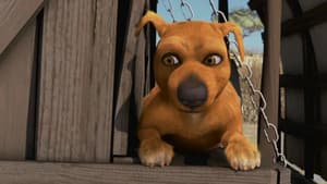Jock the Hero Dog — foto 1