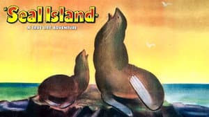 Seal Island — foto 2