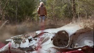 Chronic Wasting — foto 10