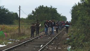 Last Shelter — foto 5