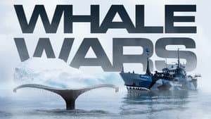 Whale Wars — foto 1