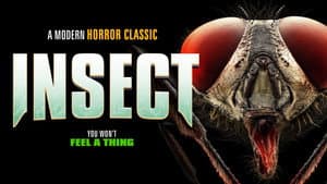 Insect — foto 1