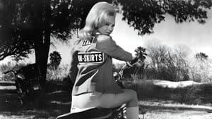 The Mini-Skirt Mob — foto 3