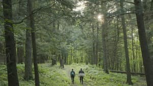 Climat déréglé, santé en danger — foto 10