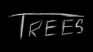 Trees — foto 1