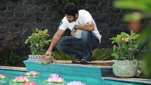 బృందావనం — foto 5