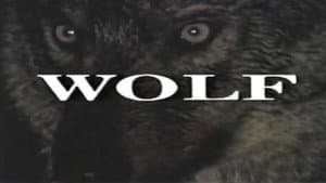Predators of the Wild: Wolf — foto 1