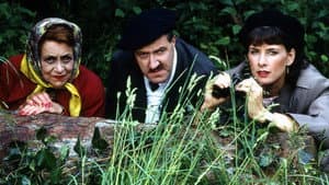 'Allo 'Allo! — foto 3